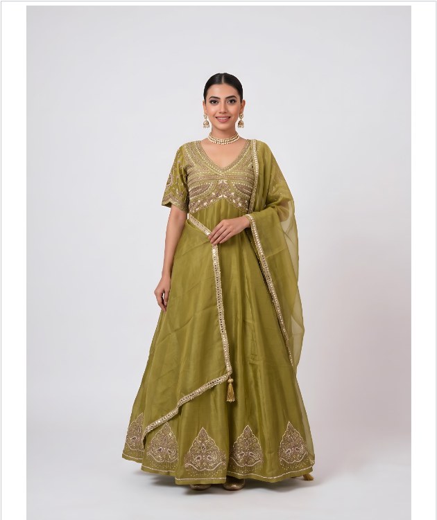 Royal Traditional Party Wear Gown