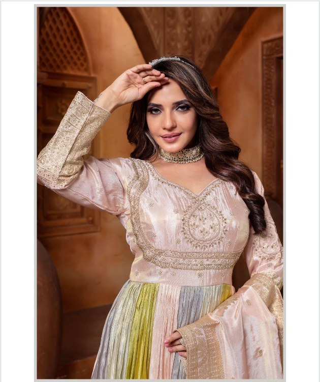 Royal Traditional Party Wear Gown